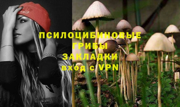 меф Няндома